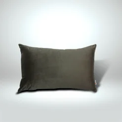 Cojín Terciopelo 60X40 Silver