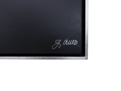 Cuadro Diptico Juego de Alas, Plata