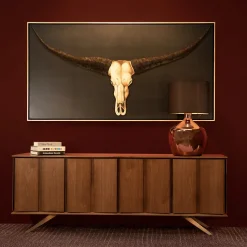 Cuadro Longhorn 2