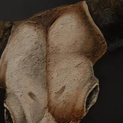 Cuadro Longhorn 2