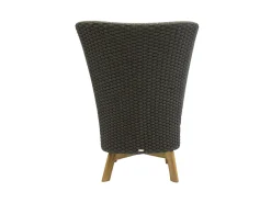 Sillón Peacock Wing