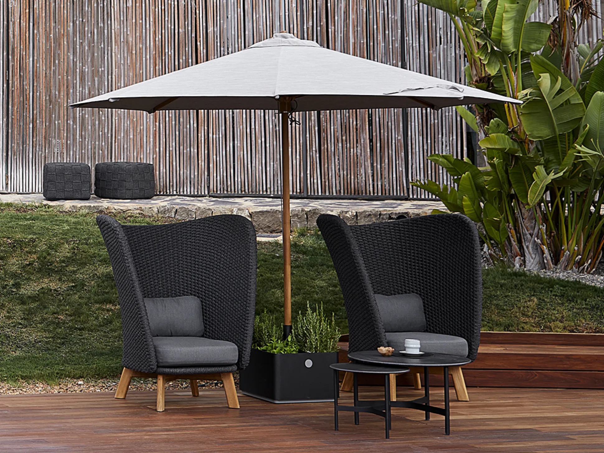 Sillón Peacock Wing